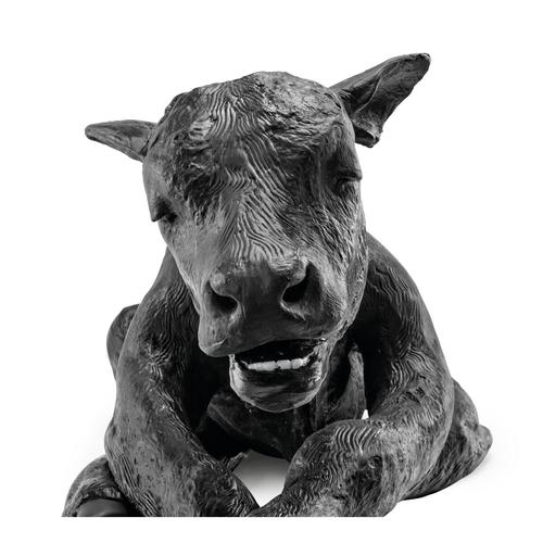 Black Angus Dystocia Calf Model, 1025511, Bovine Simulators