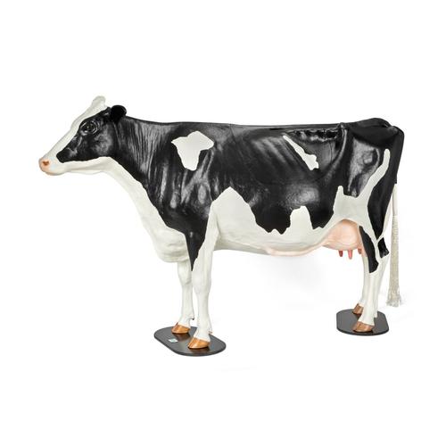 Holstein dystocia szimul&aacute;tor, 1025528, Szarvasmarha szimul&aacute;torok &nbsp;
