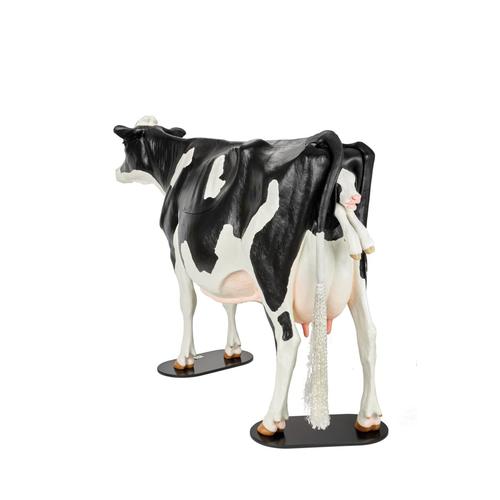 Holstein dystocia szimul&aacute;tor, 1025528, Szarvasmarha szimul&aacute;torok &nbsp;