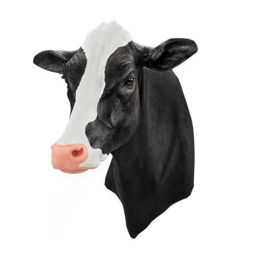 Holstein v&eacute;napunkci&oacute; &eacute;s intramuszkul&aacute;ris injekci&oacute;, 1025543, Szarvasmarha szimul&aacute;torok &nbsp;