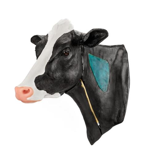 Holstein v&eacute;napunkci&oacute; &eacute;s intramuszkul&aacute;ris injekci&oacute;, 1025543, Szarvasmarha szimul&aacute;torok &nbsp;