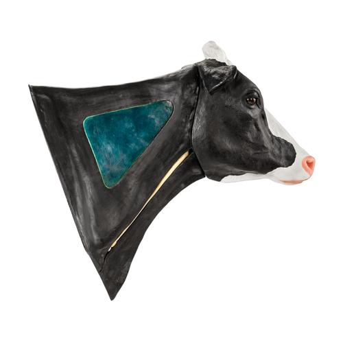 Holstein v&eacute;napunkci&oacute; &eacute;s intramuszkul&aacute;ris injekci&oacute;, 1025543, Szarvasmarha szimul&aacute;torok &nbsp;