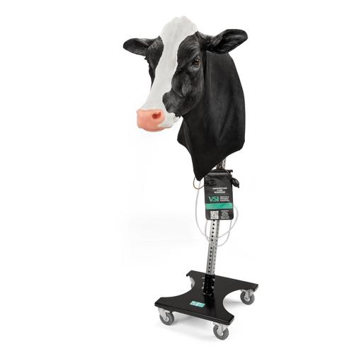 Holstein v&eacute;napunkci&oacute;s &eacute;s intramuszkul&aacute;ris injekci&oacute; &aacute;llv&aacute;nnyal, 1025548, Szarvasmarha szimul&aacute;torok &nbsp;