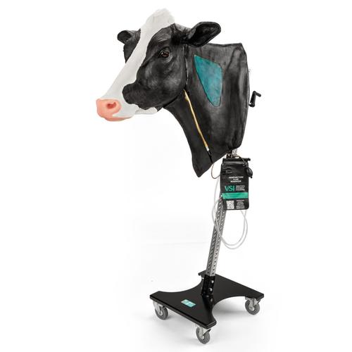 Holstein v&eacute;napunkci&oacute;s &eacute;s intramuszkul&aacute;ris injekci&oacute; &aacute;llv&aacute;nnyal, 1025548, Szarvasmarha szimul&aacute;torok &nbsp;