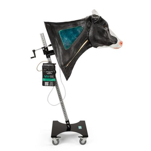 Holstein v&eacute;napunkci&oacute;s &eacute;s intramuszkul&aacute;ris injekci&oacute; &aacute;llv&aacute;nnyal, 1025548, Szarvasmarha szimul&aacute;torok &nbsp;