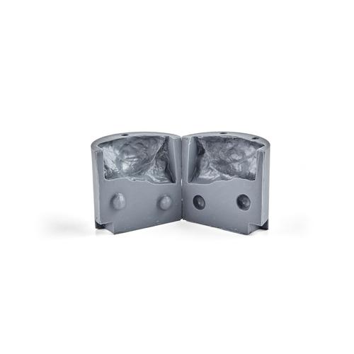 Contenedor cerebral compacto y reutilizable &ndash; Market Lamb, 1025557, Simuladores para t&eacute;cnicas de eutanasia