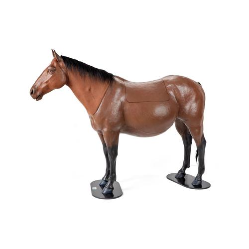 Equine Dystocia & Nasogastric Simulator, 1025586, Equine Simulators