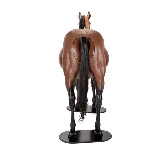 Equine Dystocia & Nasogastric Simulator, 1025586, Equine Simulators