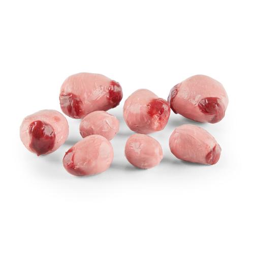 Conjunto de ovarios de oveja Southdown, 1025611, Simuladores de porcinos y ovinos