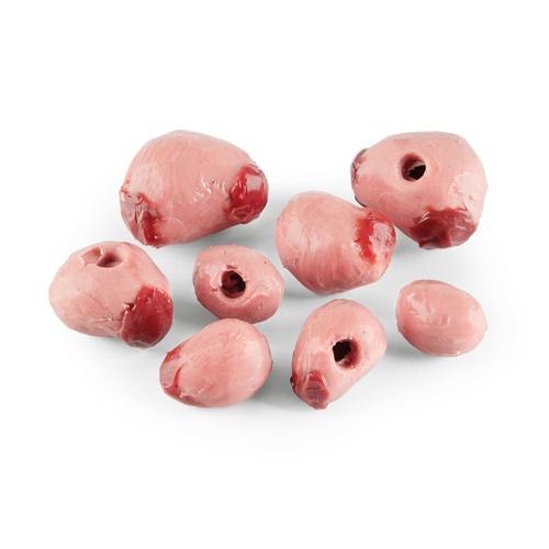 Conjunto de ovarios de oveja Southdown, 1025611, Simuladores de porcinos y ovinos