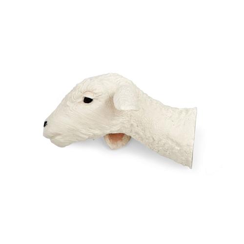Lamb 4 kg Austauschbarer Kopf, 1025654, Simulatoren zur Einschl&auml;ferung von Tieren