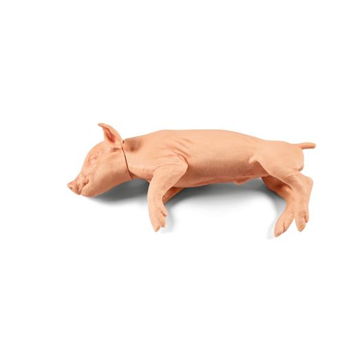 Nem penetr&aacute;ci&oacute;s kis malac 3kg, 1025655, Eutan&aacute;zia tr&eacute;ning szimul&aacute;torok