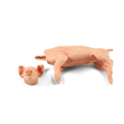 Nem penetr&aacute;ci&oacute;s kis malac 3kg, 1025655, Eutan&aacute;zia tr&eacute;ning szimul&aacute;torok