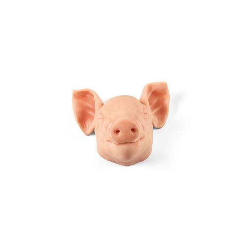 Cabeza no penetrante de lech&oacute;n peque&ntilde;o (3 kg), 1025656, Simuladores para t&eacute;cnicas de eutanasia
