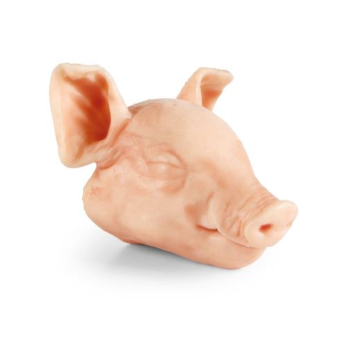 Cabeza no penetrante de lech&oacute;n peque&ntilde;o (3 kg), 1025656, Simuladores para t&eacute;cnicas de eutanasia