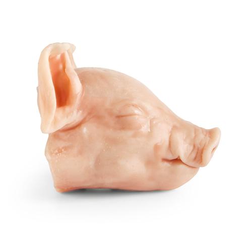 T&ecirc;te non p&eacute;n&eacute;trante d&rsquo;un petit porcelet de 3 kg, 1025656, Simulateurs pour la formation &agrave; l'euthanasie