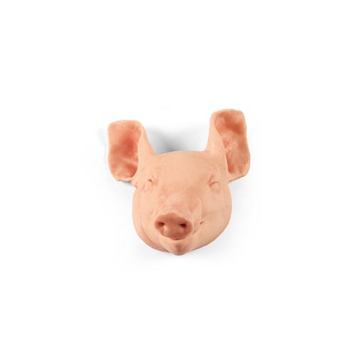 Nem penetr&aacute;ci&oacute;s, nagy (9 kg) malac feje, 1025660, Eutan&aacute;zia tr&eacute;ning szimul&aacute;torok