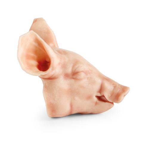 Nem penetr&aacute;ci&oacute;s, nagy (9 kg) malac feje, 1025660, Eutan&aacute;zia tr&eacute;ning szimul&aacute;torok