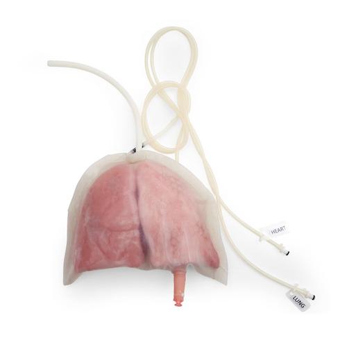 ASSP for Surgical Cut Suit - Lung injury, 1025858, Surgical Procedures Training