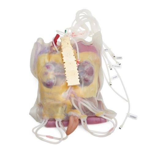 ASSP for Surgical Cut Suit - Liver, Spleen, Kidney, Iliac and Intestinal injuries, 1025860, Surgical Procedures Training