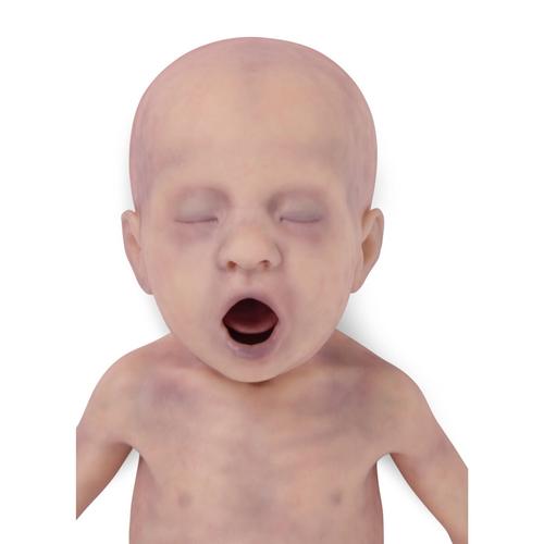 Lifecast Baby V &nbsp;erkek, 1026055, Newborn