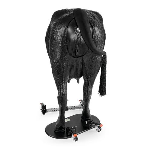 Hereford Advanced Bovine Theriogenology Model, Black, 1026384, Szarvasmarha szimul&aacute;torok &nbsp;