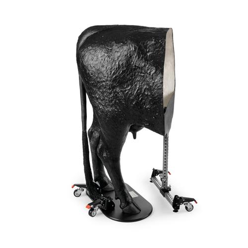 Hereford Advanced Bovine Theriogenology Model, Black, 1026384, Szarvasmarha szimul&aacute;torok &nbsp;