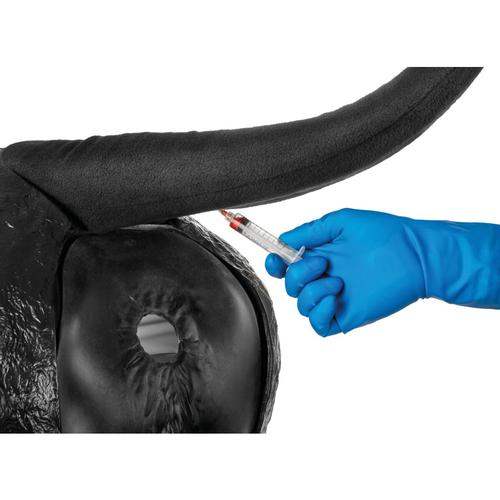 Hereford Advanced Bovine Theriogenology Model, Black, 1026384, Szarvasmarha szimul&aacute;torok &nbsp;