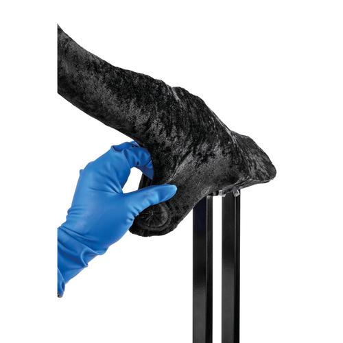 Queue Hereford pour le test du pli caudal (tuberculose) - Ensemble complet, noir, 1026430, Simulateurs bovins