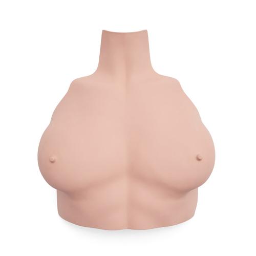 Basic Billy Torace Femminile Pelle Chiara, 1026476, BLS per adulti
