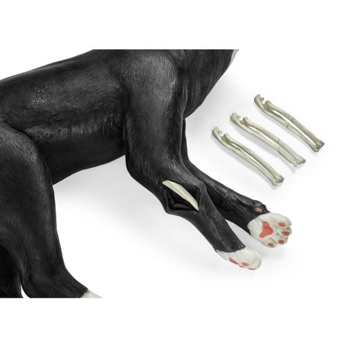 Feline Tech Simulator, 1026500, Feline Simulators