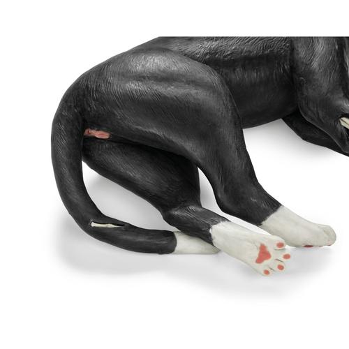 Feline Tech Simulator, 1026500, Feline Simulators