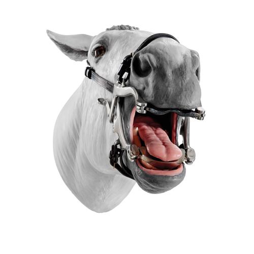 Equine Dental Float Simulator, 1026511, Equine Simulators