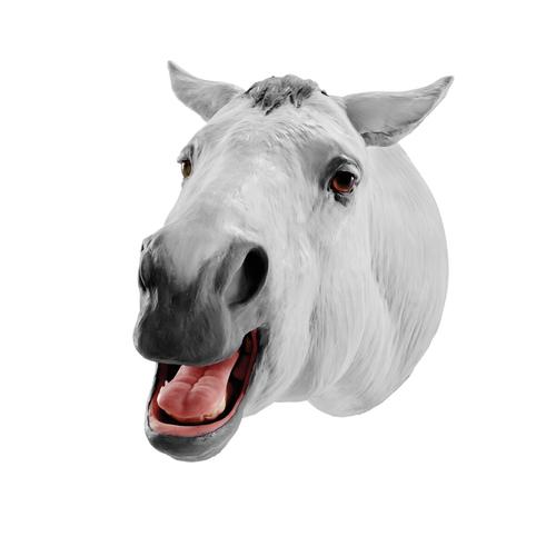 Equine Dental Float Simulator, 1026511, Equine Simulators
