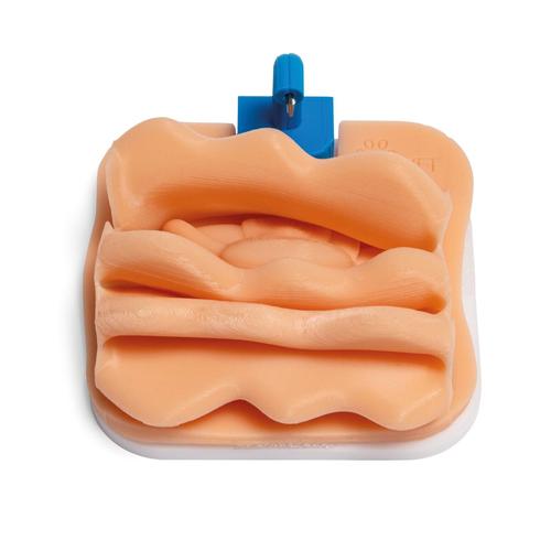 Ovariectomy Training Module for Laparo Advance/Analytic Veterinary, 1026789, Laparoscopy