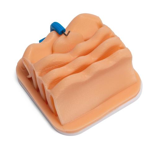Ovariectomy Training Module for Laparo Advance/Analytic Veterinary, 1026789, Laparoscopy