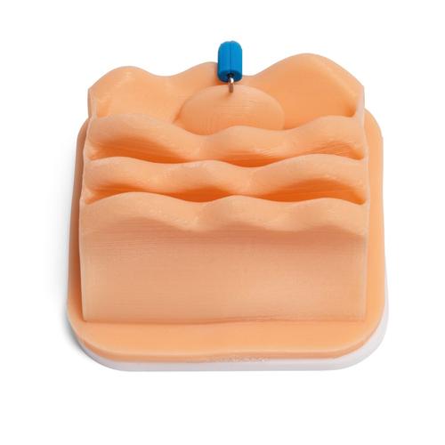 Ovariectomy Training Module for Laparo Apex Pro Veterinary, 1026790, Laparoscopy