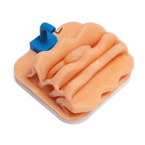Ovariectomy Training Module for Laparo Apex Pro Veterinary, 1026790, Laparoscopy