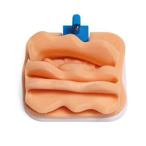 Ovariectomy Training Module for Laparo Apex Pro Veterinary, 1026790, Laparoscopy