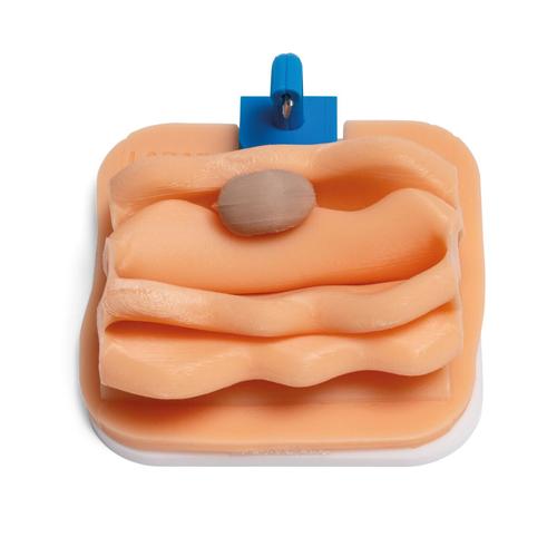 Cryptorchid Castration Training Module for Laparo Advance/Analytic Veterinary, 1026791, Laparoscopy
