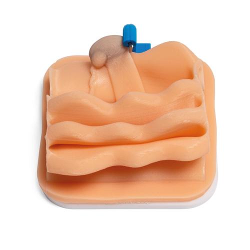 Cryptorchid Castration Training Module for Laparo Advance/Analytic Veterinary, 1026791, Laparoscopy