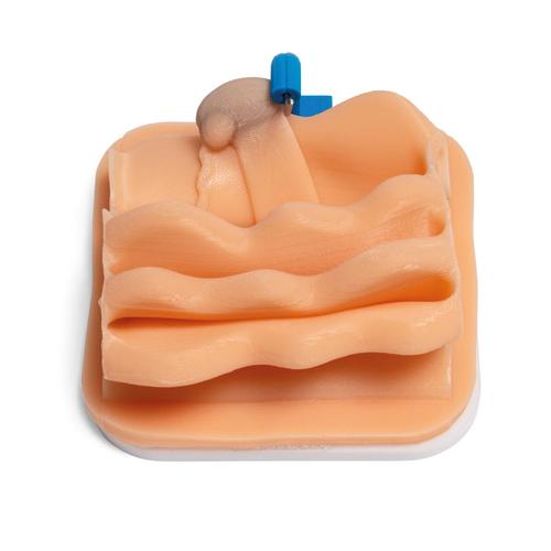 Cryptorchid Castration Training Module for Laparo Apex Pro Veterinary, 1026792, Laparoscopy