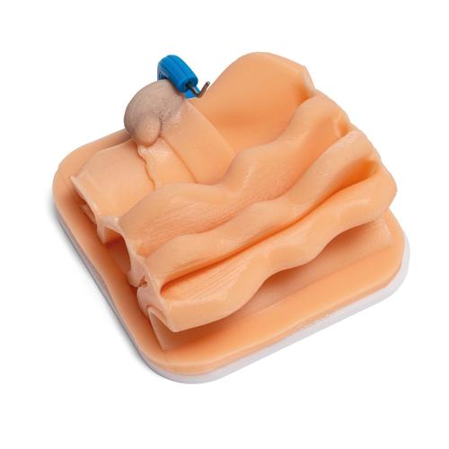 Cryptorchid Castration Training Module for Laparo Apex Pro Veterinary, 1026792, Laparoscopy