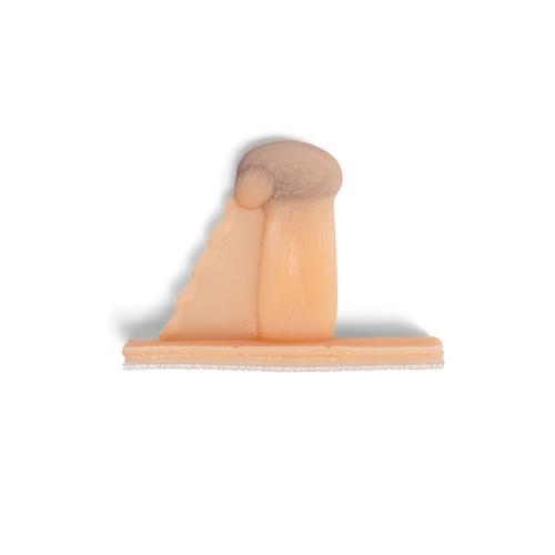 Veterinary Set for Laparo Apex Pro Veterinary, 1026794, Laparoscopy