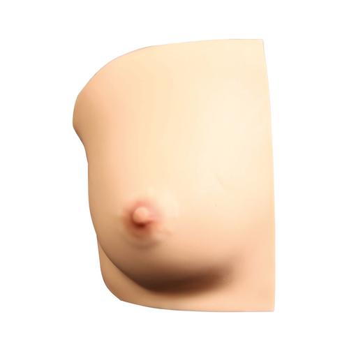 Right Single Breast with 5 Lumps (MWA, Cryoablation, CNB), 1026873, Replacements