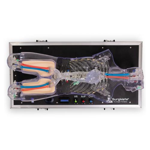 ECMO Cannulation and Endovascular Procedures Training Simulator, 1026878, ECMO and Extracorporeal Life Support Training