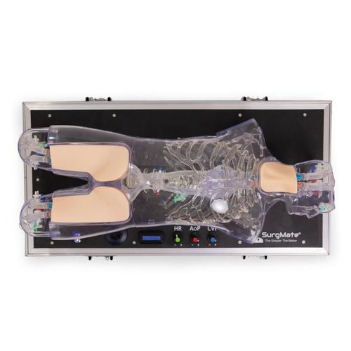 ECMO Cannulation and Endovascular Procedures Training Simulator, 1026878, ECMO and Extracorporeal Life Support Training