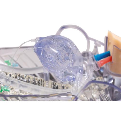 ECMO Cannulation and Endovascular Procedures Training Simulator, 1026878, ECMO and Extracorporeal Life Support Training