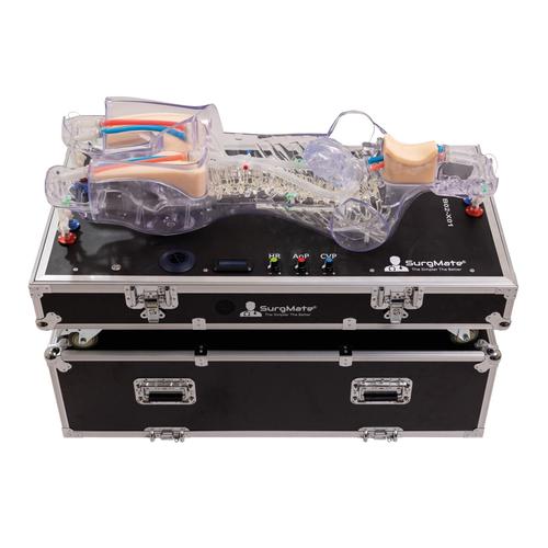 ECMO Cannulation and Endovascular Procedures Training Simulator, 1026878, ECMO and Extracorporeal Life Support Training