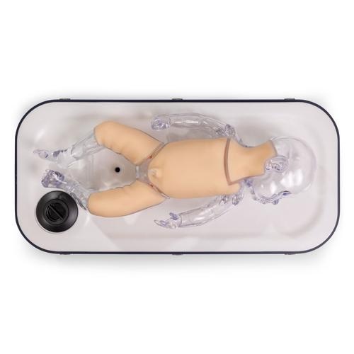ECMO&nbsp;NeoPeds Endovascular Procedures Training Simulator, 1026890, ECMO and Extracorporeal Life Support Training